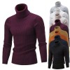 Autumn/Winter Men's Turtleneck Solid Color Knit Pullover Sweater Autumn/Winter Men's Turtleneck Solid Color Knit Pullover Sweater